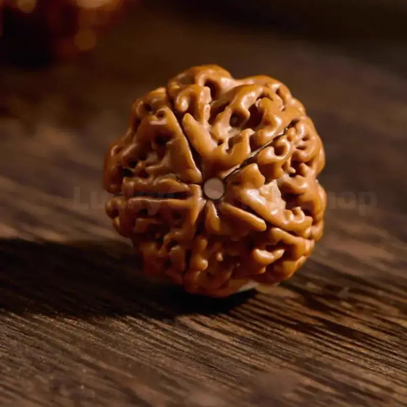 Nepalese Natural Vajra Bodhi 108-Bead Buddhist Mala Bracelet-LuckyCharms.Shop